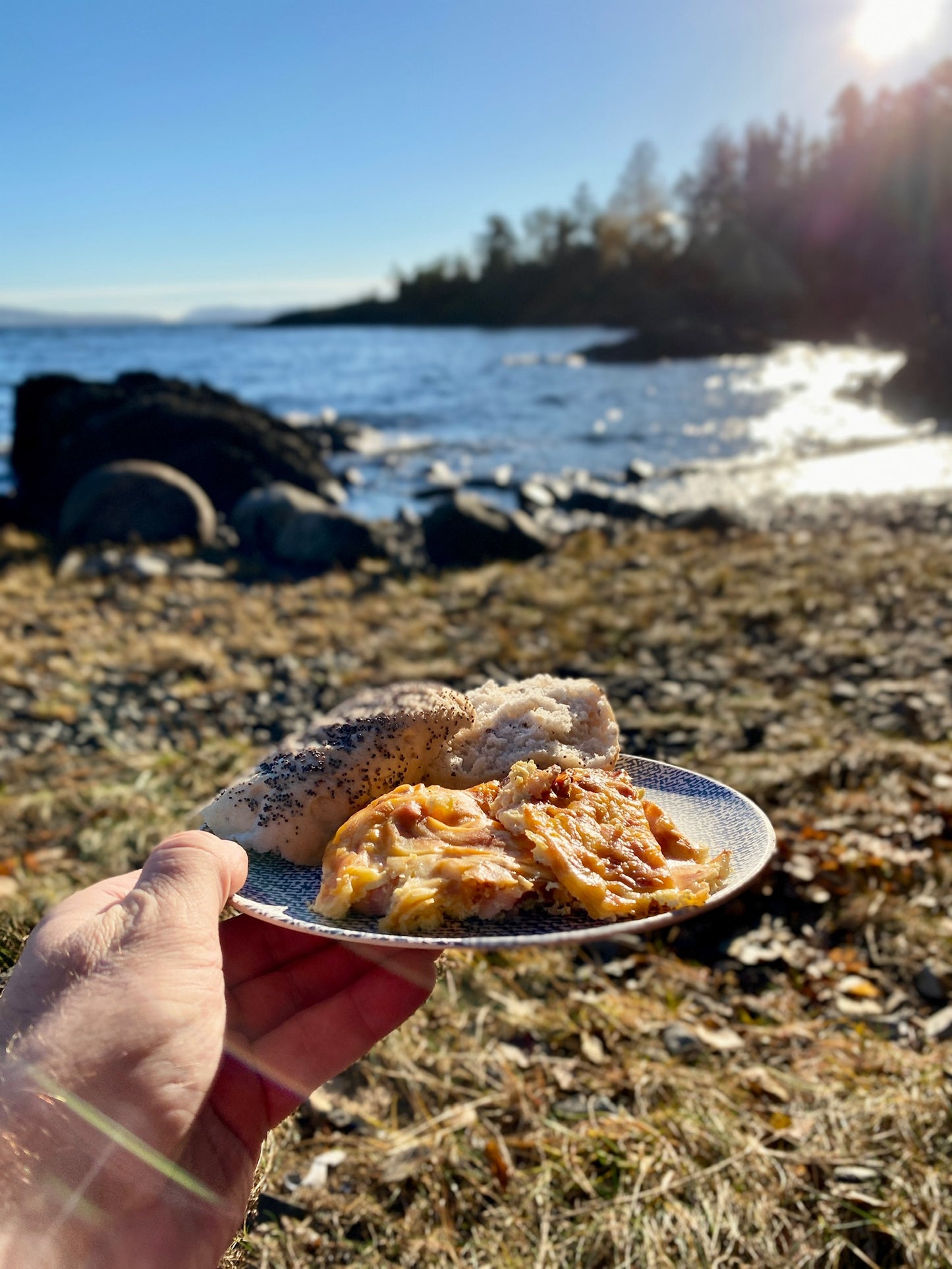 A unique Oslofjord Island fishing adventure | River 460 with Mercury EFI upto 4 adults